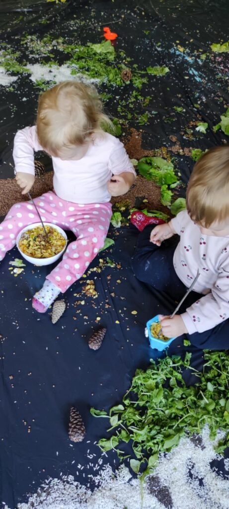 Zdjęcie WhatsApp 2024-11-08 o 21.12.55_05fcaa3b